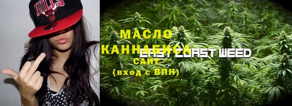 прущие грибы Бородино