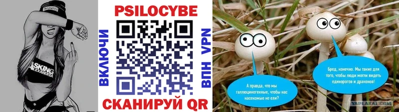 Псилоцибиновые грибы прущие грибы  Новоуральск 